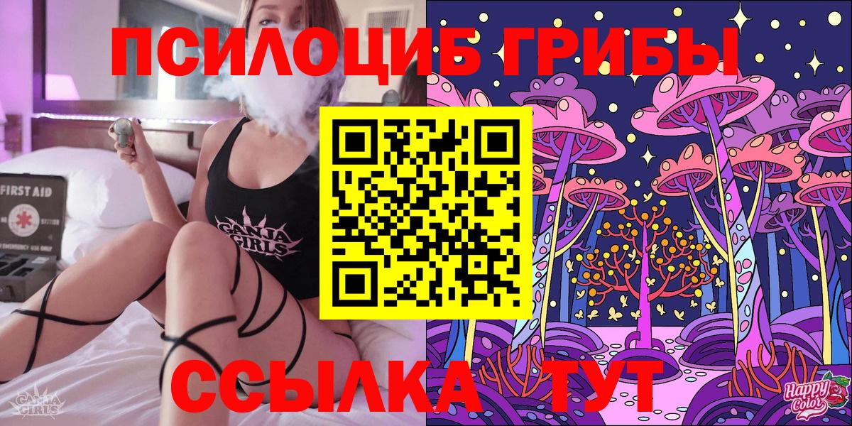 Галлюциногенные грибы Psilocybine cubensis Ангарск