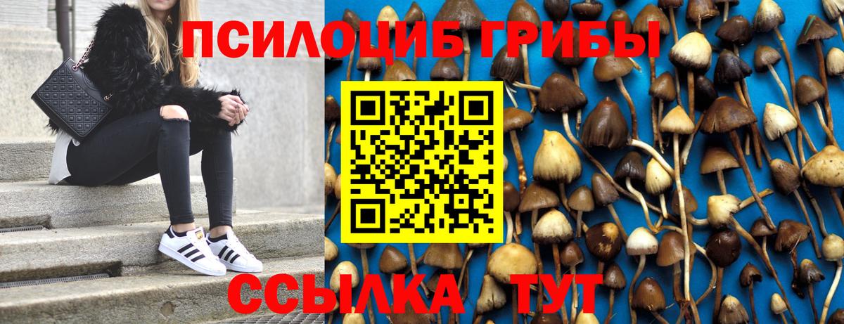Псилоцибиновые грибы Cubensis  Галлюциногенные грибы Cubensis  Вход с VPN  Ангарск 